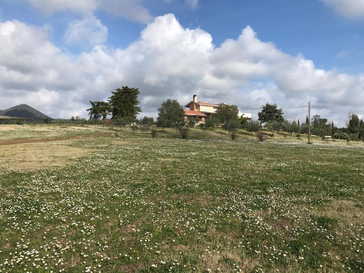Guest House Villa Di Judighes Cerveteri Exterior photo